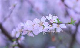 花甜双鱼座2022年6月运势