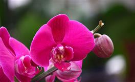 小乖麻2022年5月运势提醒