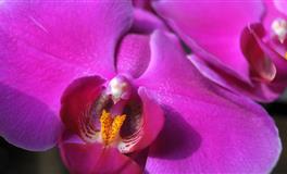 2022年5月这几个星座桃花真的太旺啦！