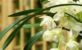 苏珊米勒每日运势2022年5月6日