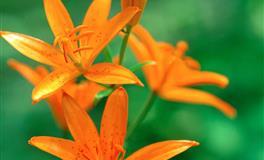 杀破狼天蝎座一周运势(5.9-5.12)