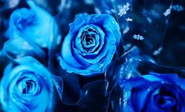 Alex双鱼座2022年6月运势