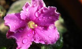 神叨酱心灵疗愈指引2022年6月2日