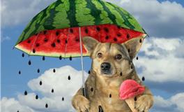 芒种占卜：两笔画测出你『盛夏与秋收』的好财运