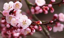 苏珊米勒每日运势2022年6月15日