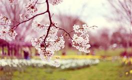 哪些星座的荷包容易月月空呢？