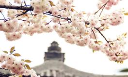 在感情中没自信，爱得很卑微的星座