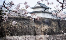 杀破狼金牛座一周运势(6.13-6.19)