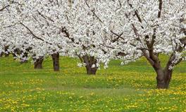 羲邑师姐生肖鼠一周运势(6.13-6.19)