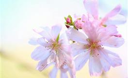 Lunita占星之旅天秤座一周运势(6.13-6.19)