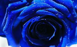 追12星座的禁忌，再犯活该单身！