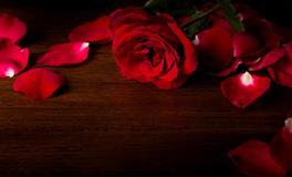 最爱一个人旅行的星座TOP3