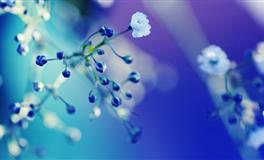 职场最令人喜欢的星座代表都有谁！