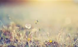 蒂姆双鱼座一周运势(6.19-6.25)