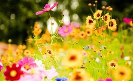 哄老婆最有耐心的星座男