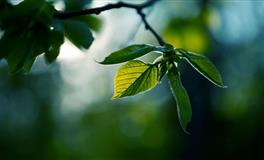 闹闹女巫店天蝎座一周运势(6.13-6.19)