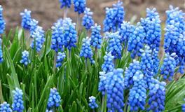 星象预警,射手满月将至，共同拥抱夏日的万物生机