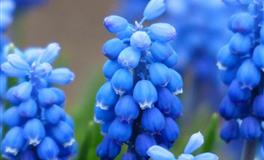 Pandora占星小巫12星座一周塔罗运势（6.20-6.26）