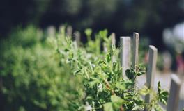 职场中和哪些星座共事一身“轻松”？