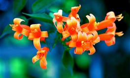 四大血型的时间观念