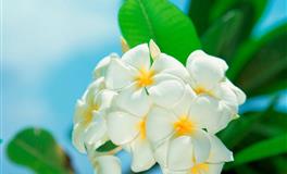 苏珊米勒每日运势2022年6月16日