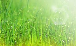 最强势的四个星座，任何事都要占主导地位，看看有你吗？