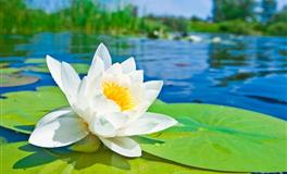 杀破狼天蝎座一周运势(6.20-6.26)