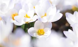 静电鱼巨蟹座一周运势(6.20-6.26)