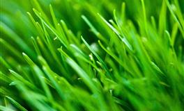 度量大，为人也大方，不会一毛不拔的三个生肖