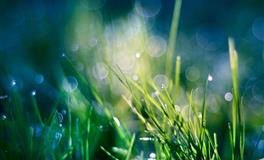 天生“财富命”的四大生肖，不想要都难，看看里面有你吗？