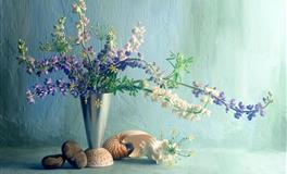 性格固执，容易走极端的三大星座