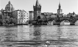 静电鱼双鱼座一周运势(6.6-6.12)