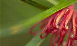 娜迪亚魔羯座本周运势（6.6–6.12）