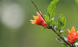 竹猫星球天秤座一周塔罗运势（6.6-6.12）