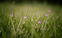 心态好心情好不显老的生肖女，一生快乐有人疼爱