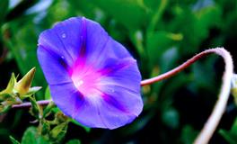 星座女神魔羯座2022年7月运势