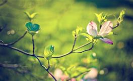 表面单纯，内心腹黑的三大星座，个个都是深藏不露的狠角色！