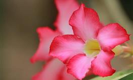 最会隐藏心事，让人看不透的三大星座