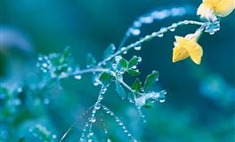 竹猫星球金牛座一周塔罗运势（6.27-7.3）