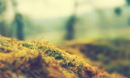 星座女神狮子座2022年7月运势