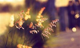 杀破狼金牛座一周运势(6.27-7.3)