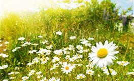 娜迪亚天蝎座本周运势（6.27–7.3）