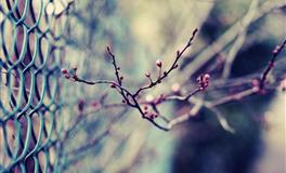 闹闹女巫店天蝎座一周运势（6.27-7.3）