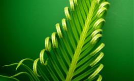 静电鱼金牛座一周运势(6.27-7.3)