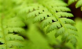 什么血型人爱往死胡同里钻