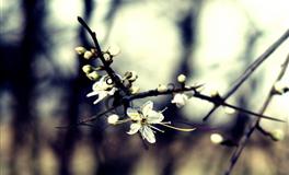 一生穿金戴银，备受宠爱的三大星座，天生的富婆命