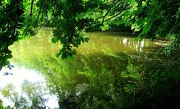 四大血型的告白表现