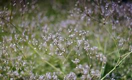 就是因为太好哄！甜言蜜语就选择复合的星座