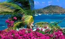 花甜天秤座2022年7月运势