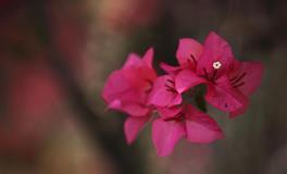 12星座安慰人的方式，你是哪种？